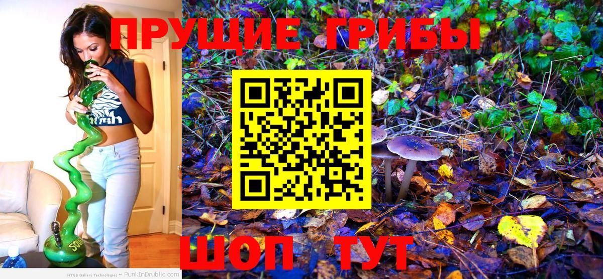 Галлюциногенные грибы GOLDEN TEACHER Урай